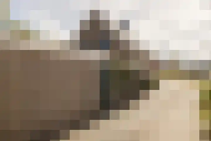 Vredebestlaan 2 Poeldijk thumbnail 42