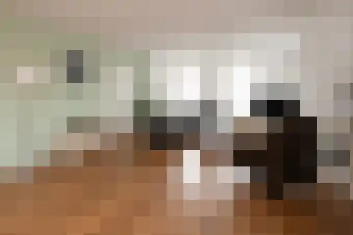 Vredebestlaan 2 Poeldijk thumbnail 9