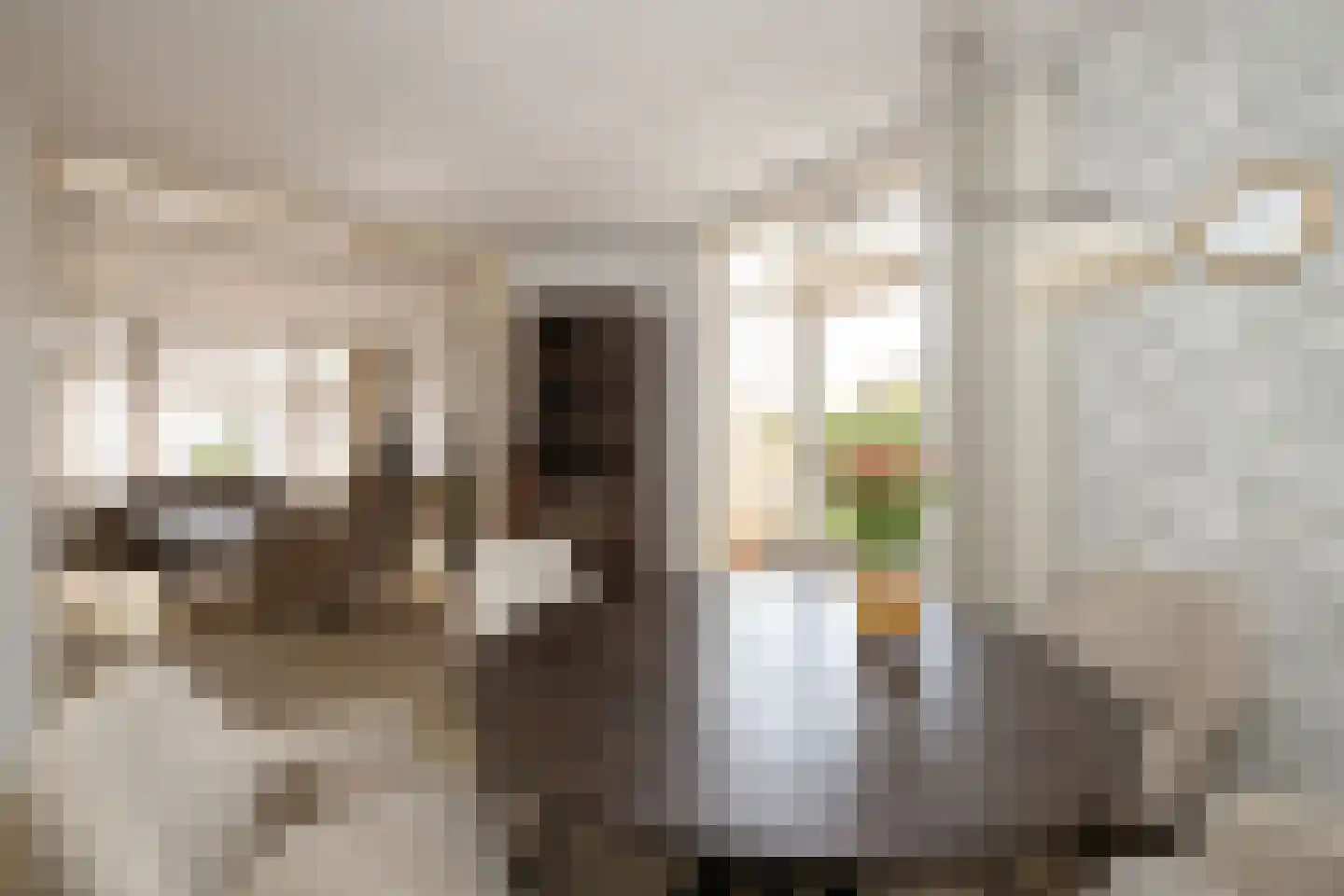 Vredebestlaan 42 Poeldijk thumbnail 14