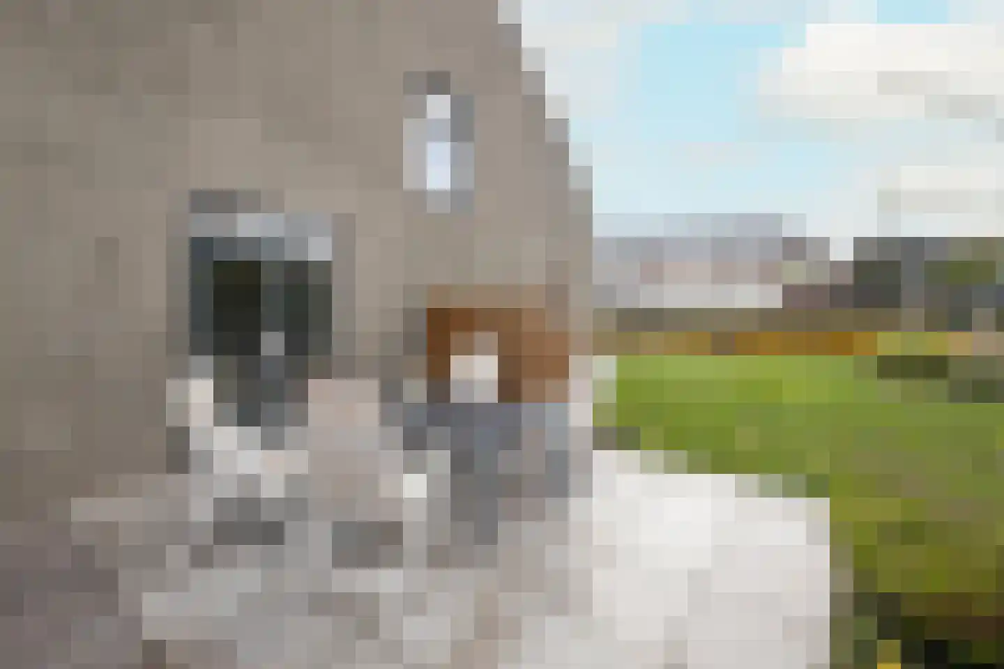 Vredebestlaan 42 Poeldijk thumbnail 38