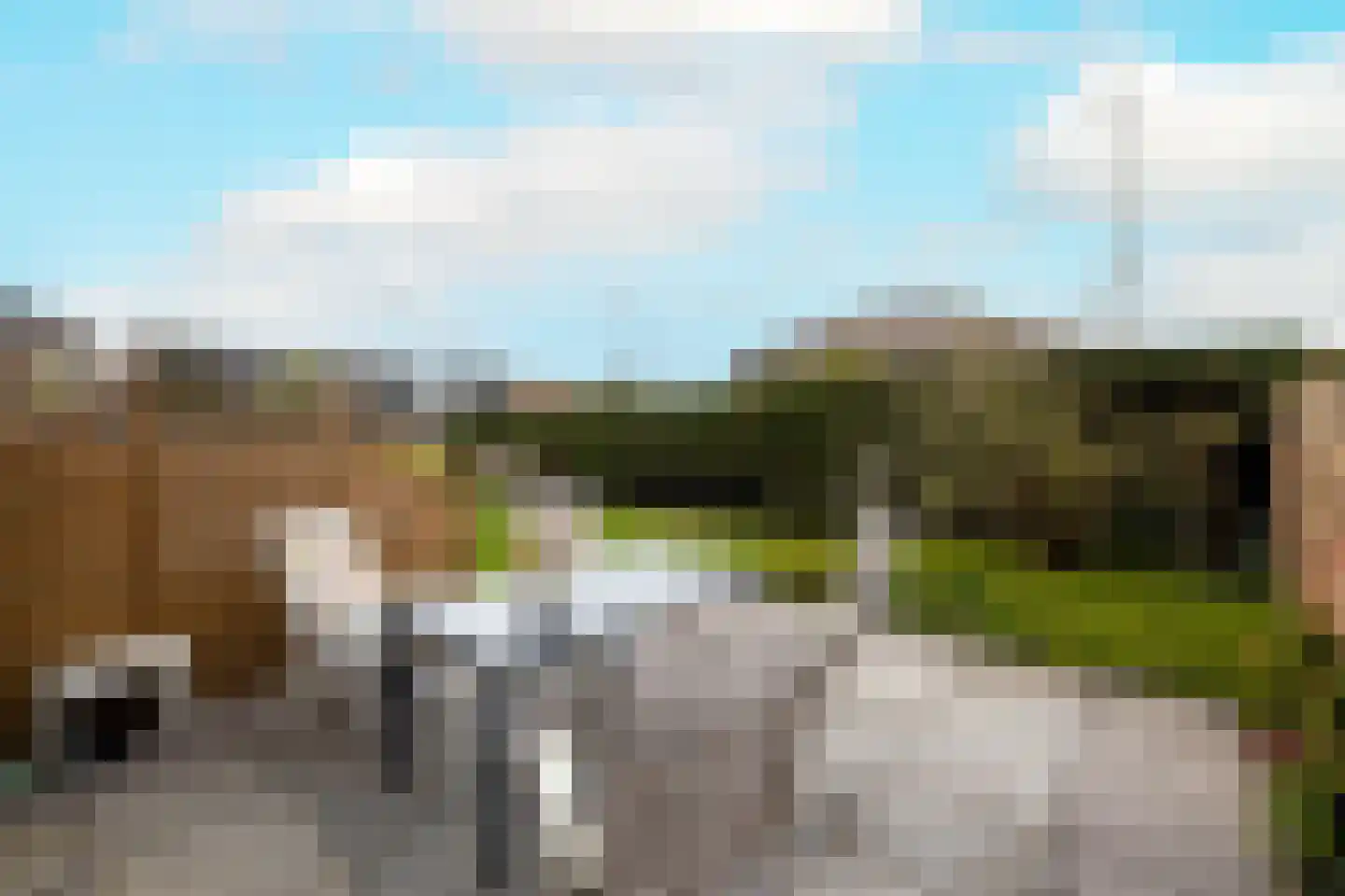 Vredebestlaan 42 Poeldijk thumbnail 39