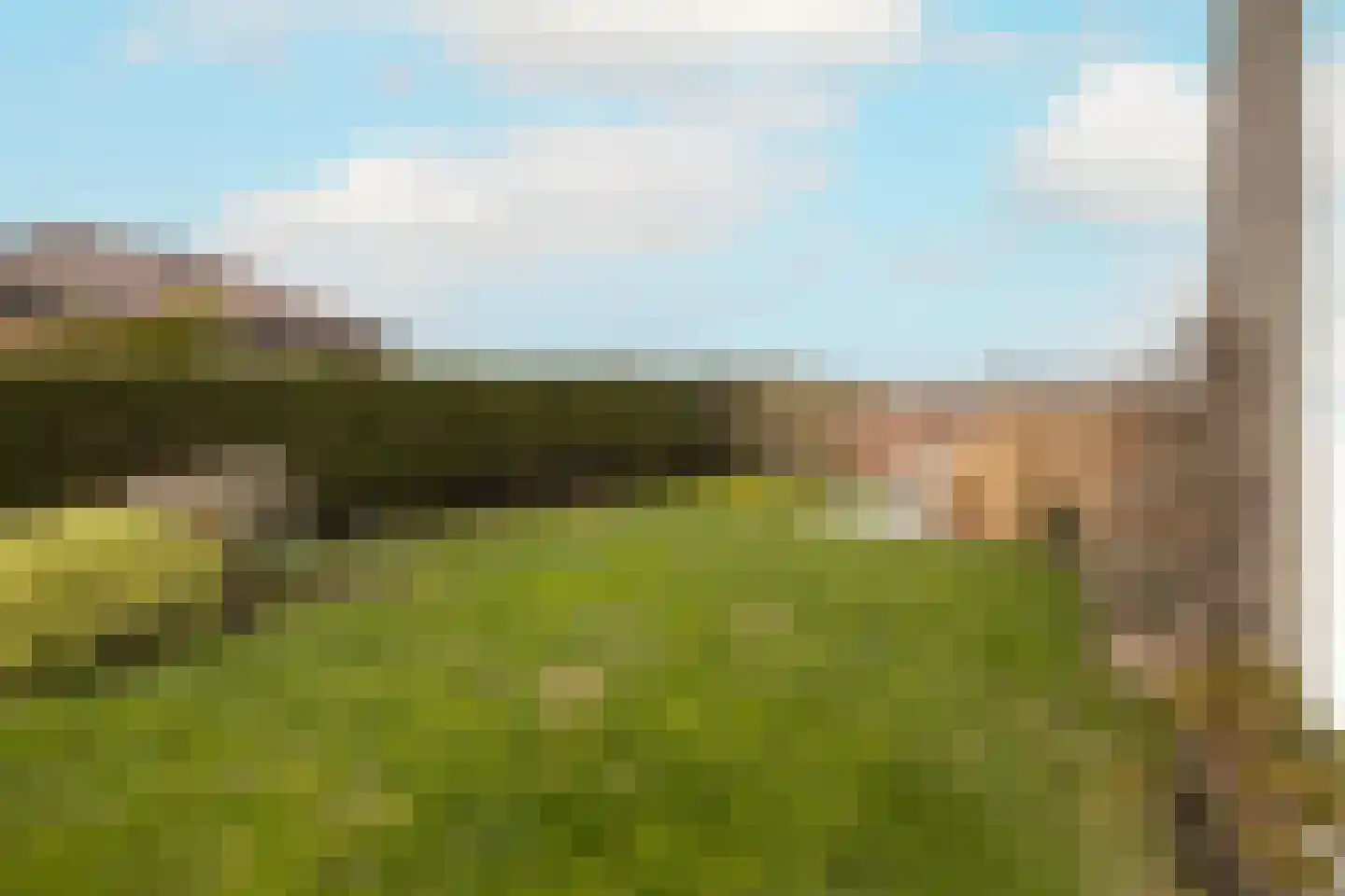 Vredebestlaan 42 Poeldijk thumbnail 41