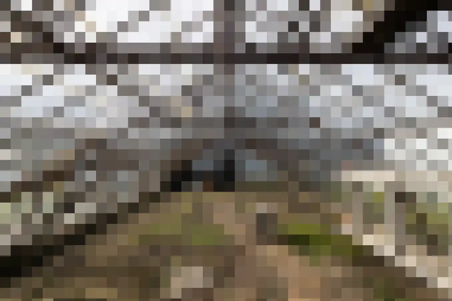 Vredebestlaan 42 Poeldijk thumbnail 45