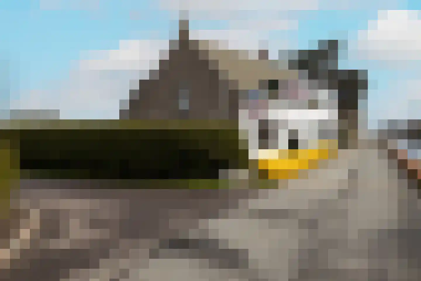 Vredebestlaan 42 Poeldijk thumbnail 46