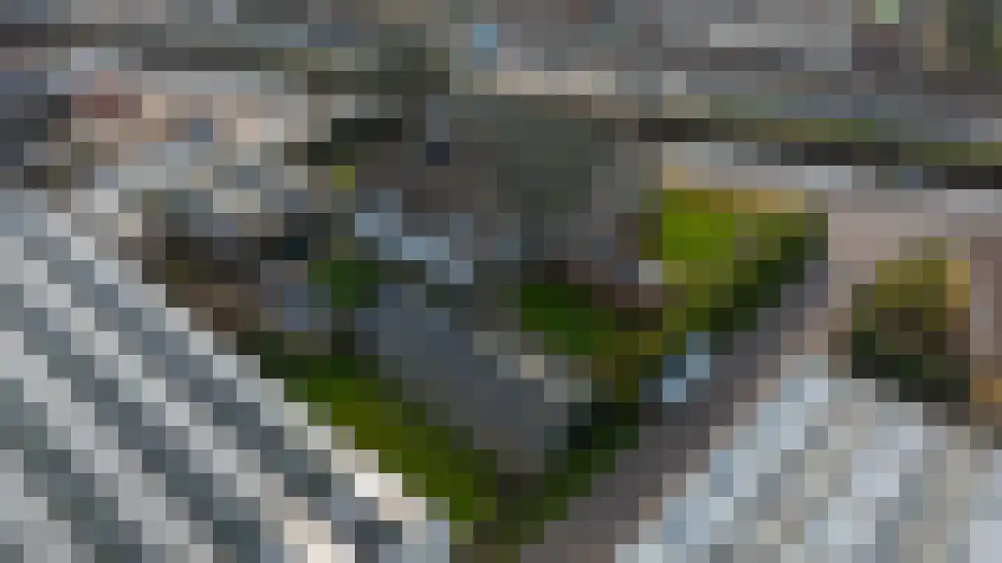 Vredebestlaan 42 Poeldijk thumbnail 49