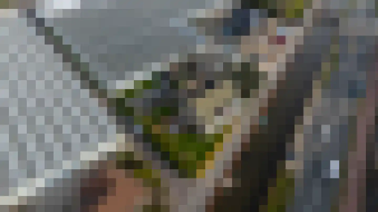 Vredebestlaan 42 Poeldijk thumbnail 51