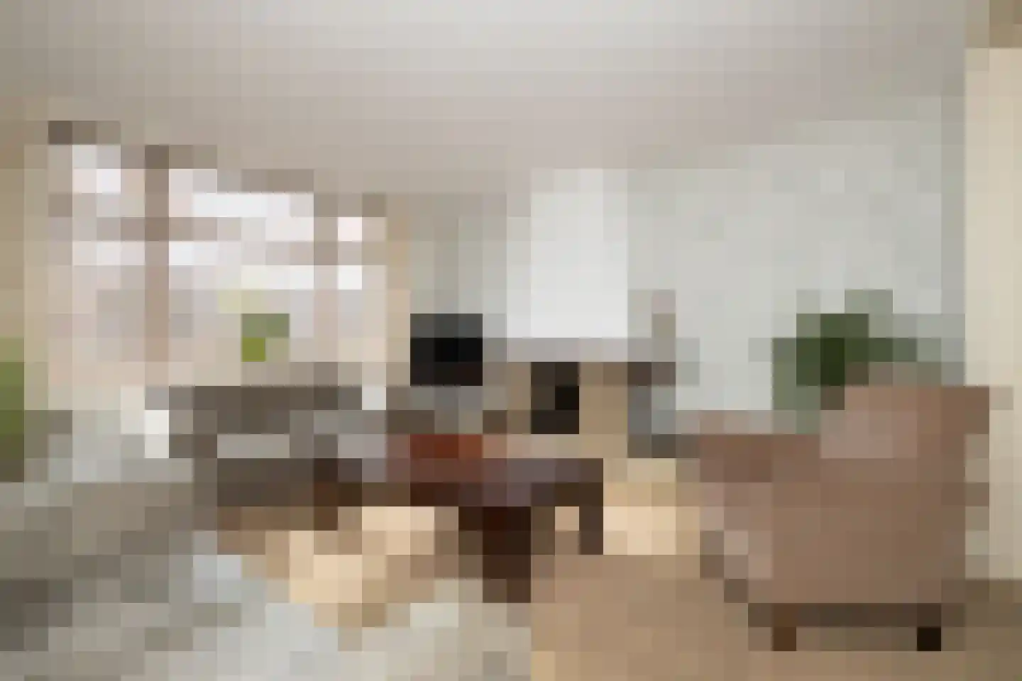 Vredebestlaan 42 Poeldijk thumbnail 9