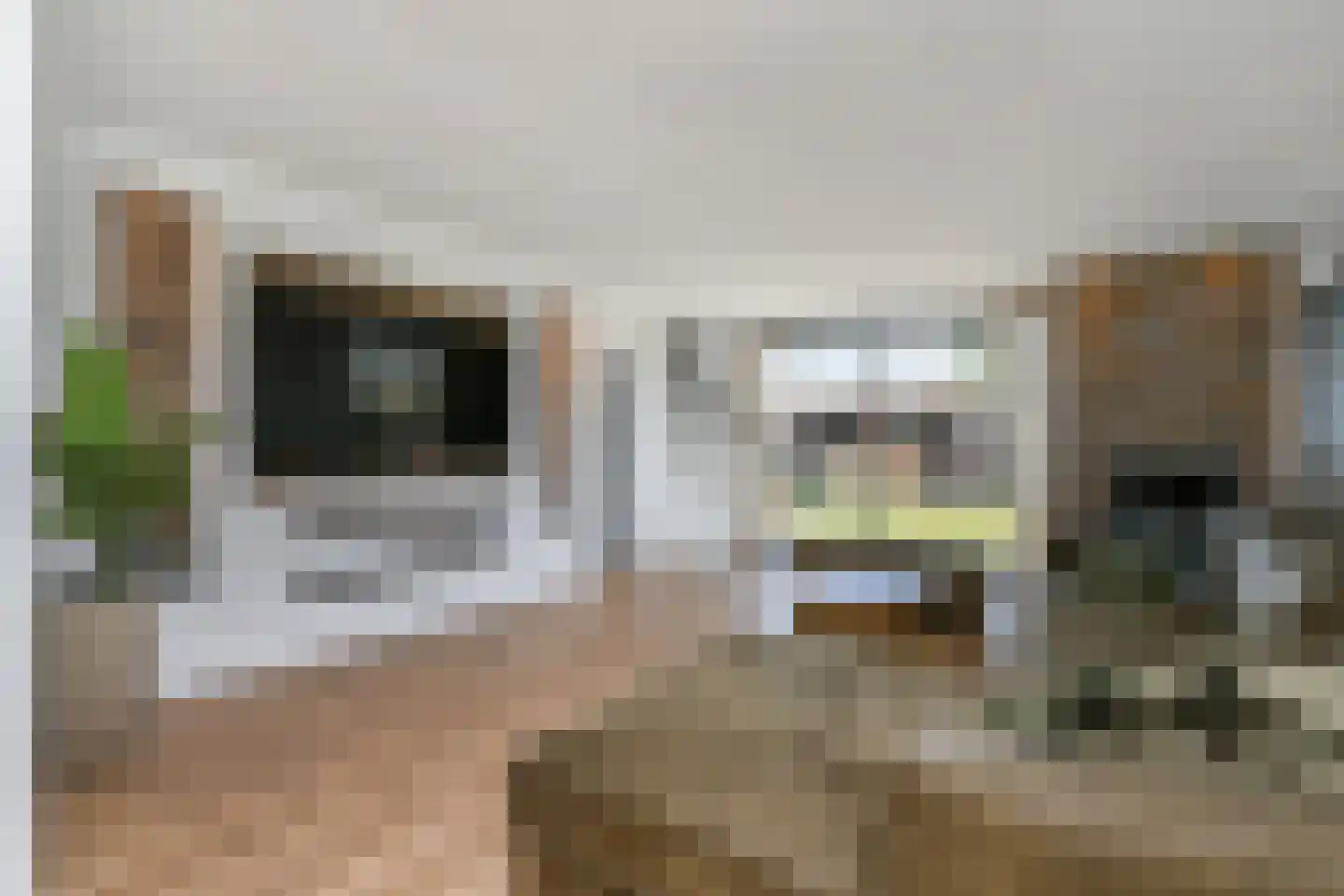 Vredebestlaan 43 Poeldijk thumbnail 13