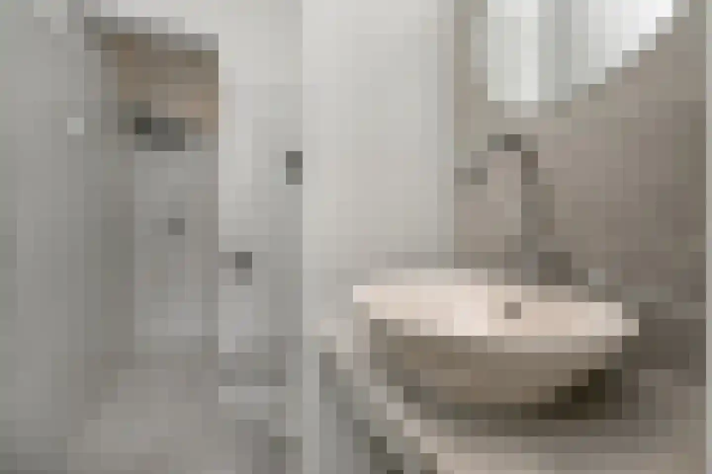 Vredebestlaan 43 Poeldijk thumbnail 18