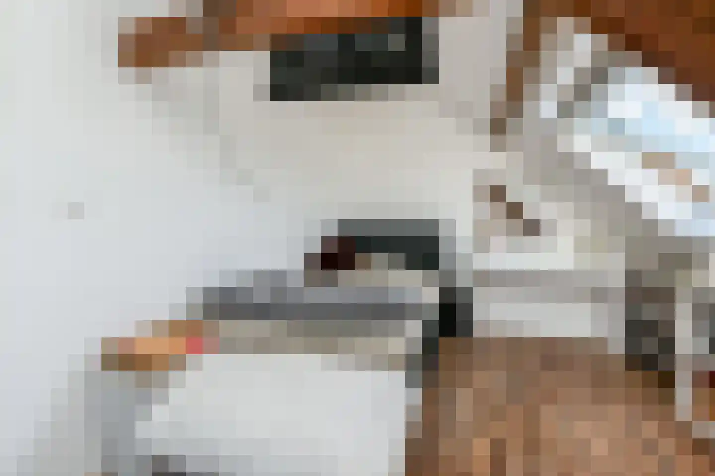 Vredebestlaan 43 Poeldijk thumbnail 31
