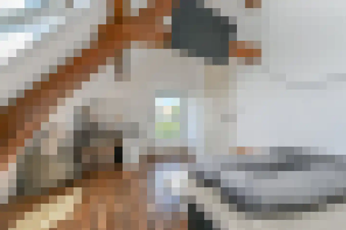 Vredebestlaan 43 Poeldijk thumbnail 32