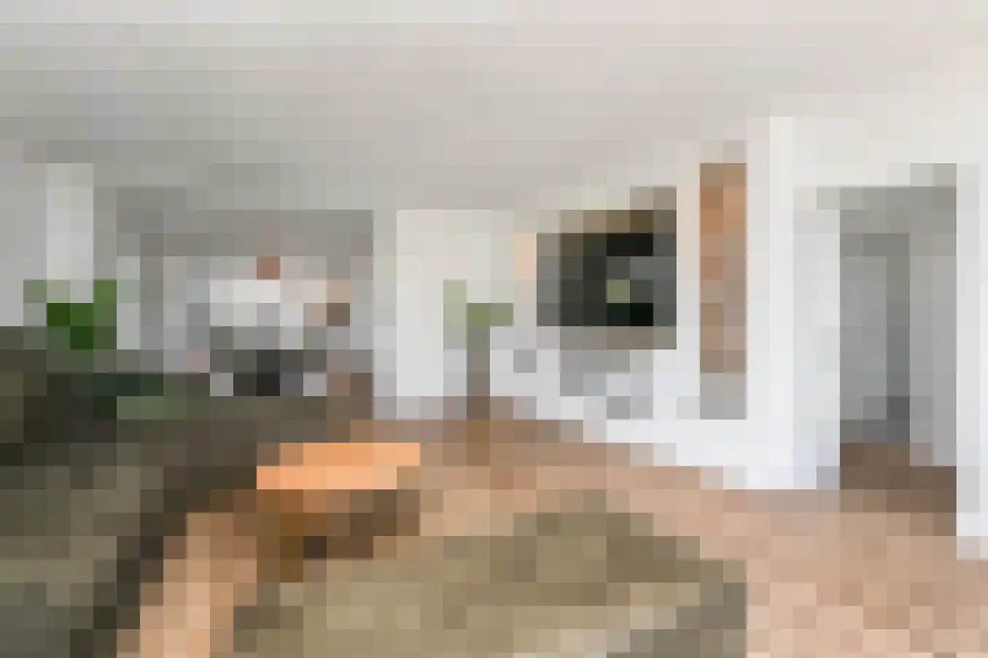 Vredebestlaan 43 Poeldijk thumbnail 4