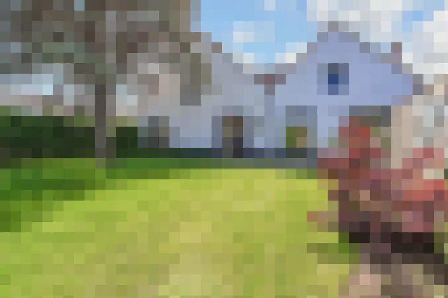 Vredebestlaan 43 Poeldijk thumbnail 44