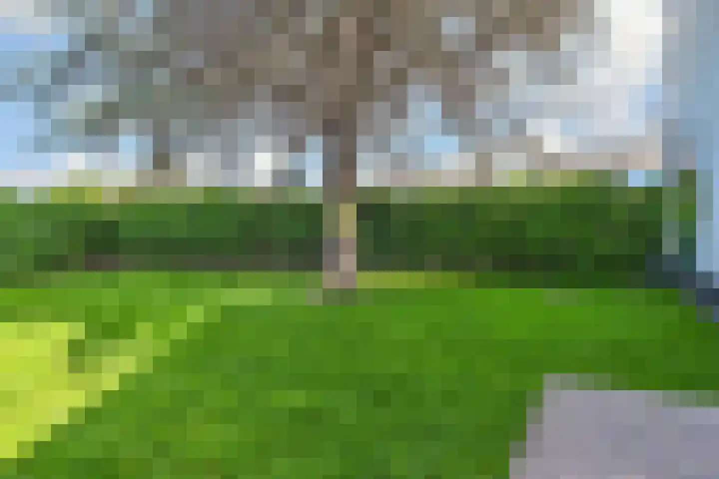 Vredebestlaan 43 Poeldijk thumbnail 44