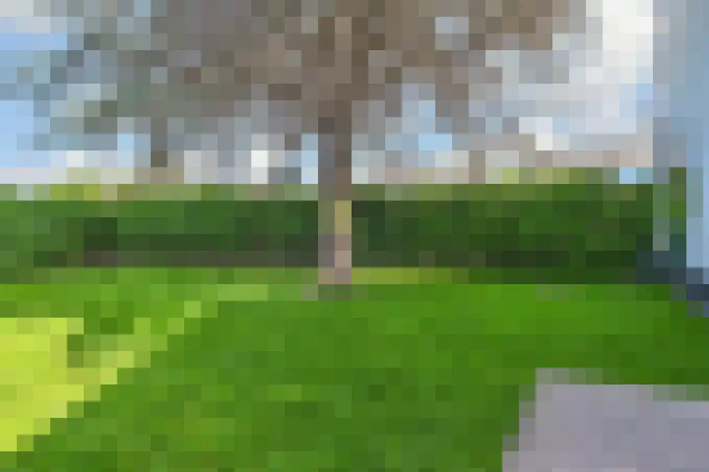 Vredebestlaan 43 Poeldijk thumbnail 45