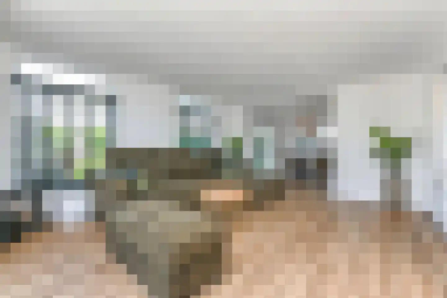 Vredebestlaan 43 Poeldijk thumbnail 6