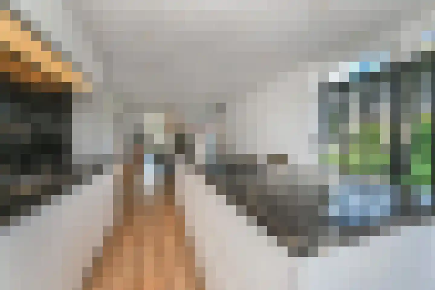 Vredebestlaan 43 Poeldijk thumbnail 7
