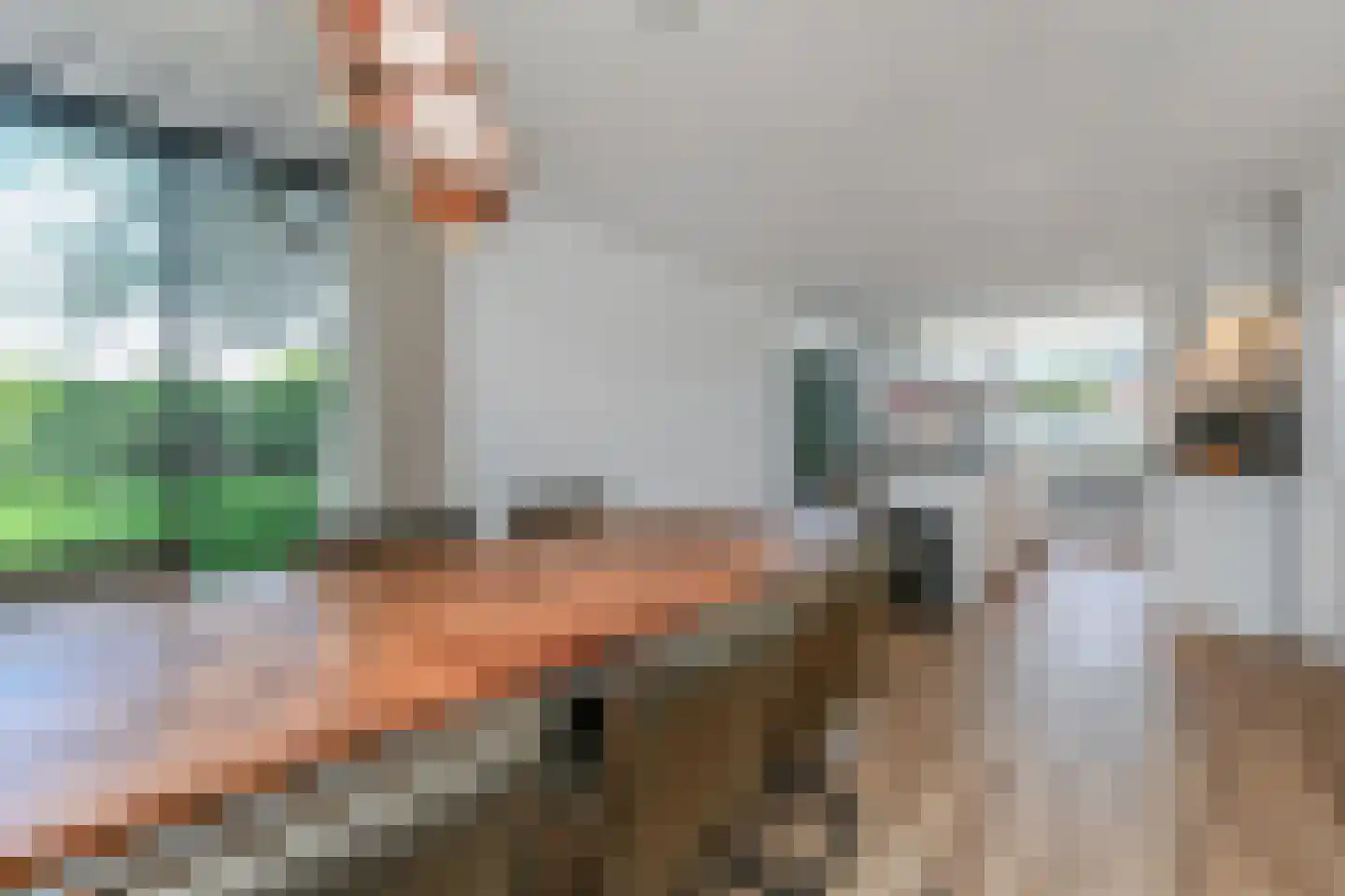 Vredebestlaan 43 Poeldijk thumbnail 9