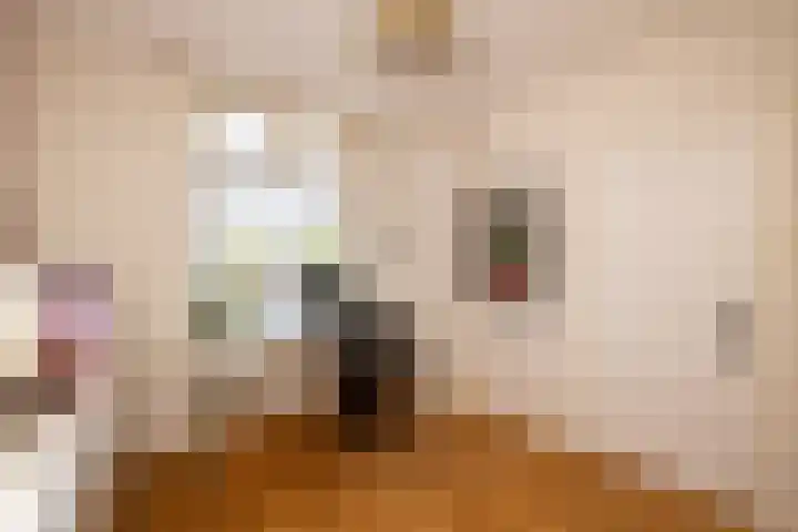Vredebestlaan 51 Poeldijk thumbnail 20