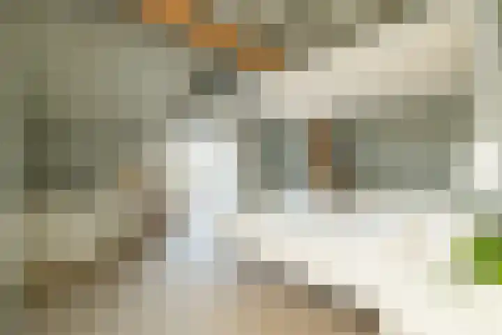 Vredebestlaan 51 Poeldijk thumbnail 27