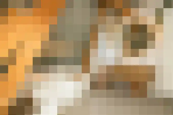 Vredebestlaan 51 Poeldijk thumbnail 33