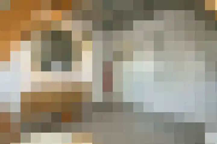 Vredebestlaan 51 Poeldijk thumbnail 34