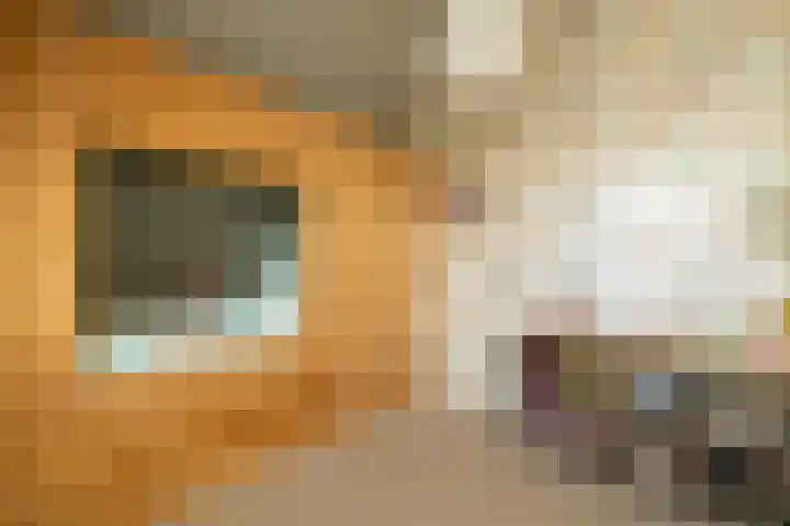 Vredebestlaan 51 Poeldijk thumbnail 39