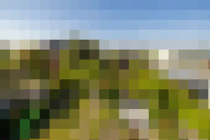 Vredebestlaan 51 Poeldijk thumbnail 43