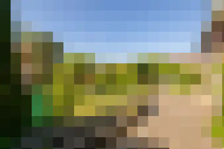 Vredebestlaan 51 Poeldijk thumbnail 45