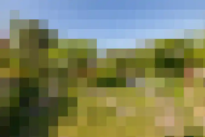Vredebestlaan 51 Poeldijk thumbnail 46