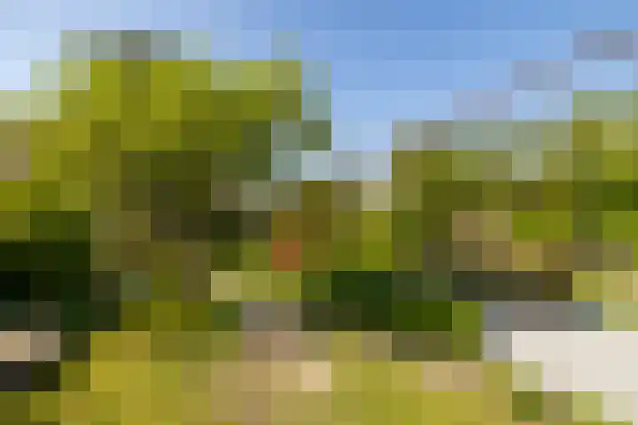 Vredebestlaan 51 Poeldijk thumbnail 47