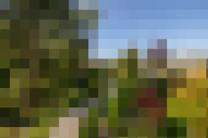 Vredebestlaan 51 Poeldijk thumbnail 48
