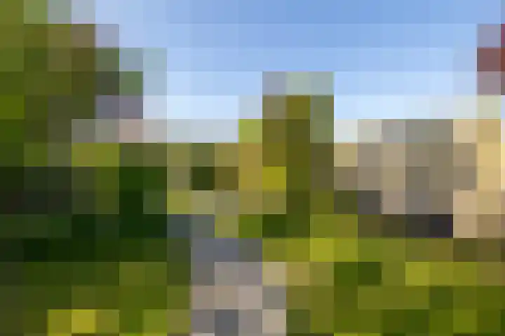 Vredebestlaan 51 Poeldijk thumbnail 49