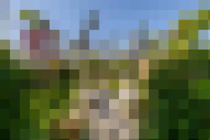Vredebestlaan 51 Poeldijk thumbnail 50