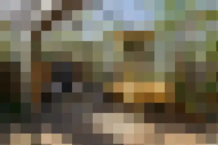 Vredebestlaan 51 Poeldijk thumbnail 51