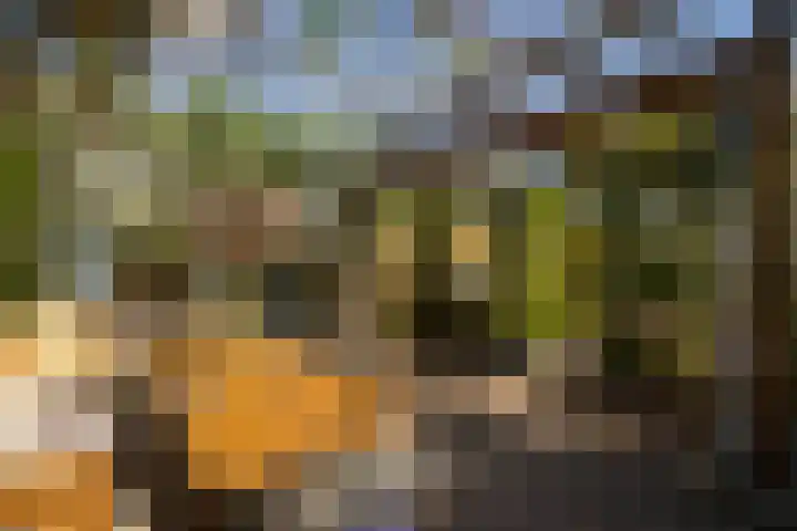 Vredebestlaan 51 Poeldijk thumbnail 52