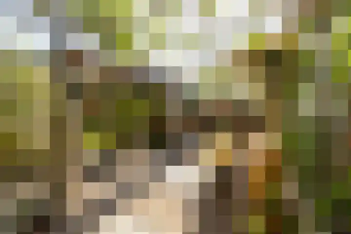 Vredebestlaan 51 Poeldijk thumbnail 53