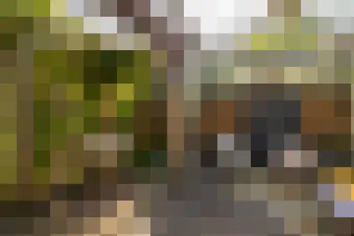 Vredebestlaan 51 Poeldijk thumbnail 54