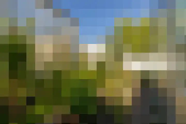 Vredebestlaan 51 Poeldijk thumbnail 55