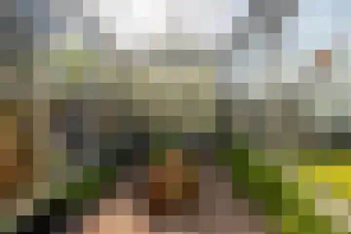 Vredebestlaan 51 Poeldijk thumbnail 58