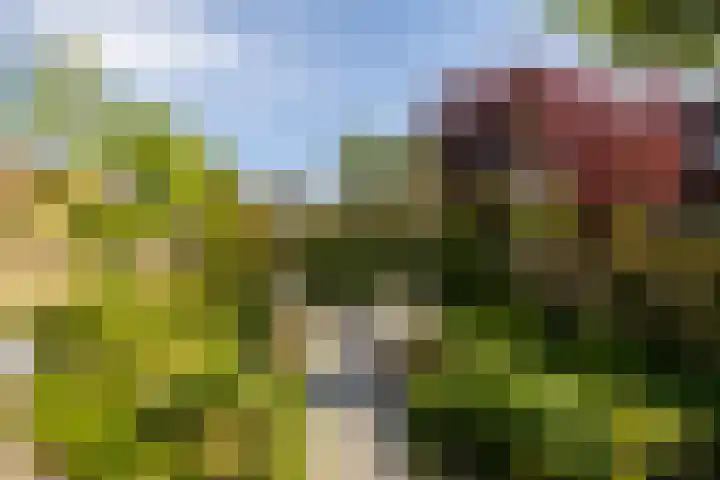 Vredebestlaan 51 Poeldijk thumbnail 59