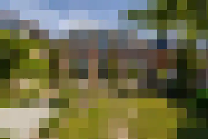Vredebestlaan 51 Poeldijk thumbnail 61