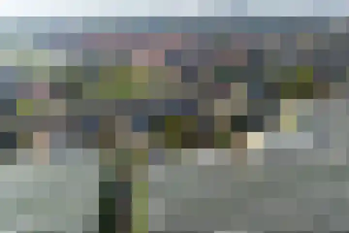 Vredebestlaan 51 Poeldijk thumbnail 66