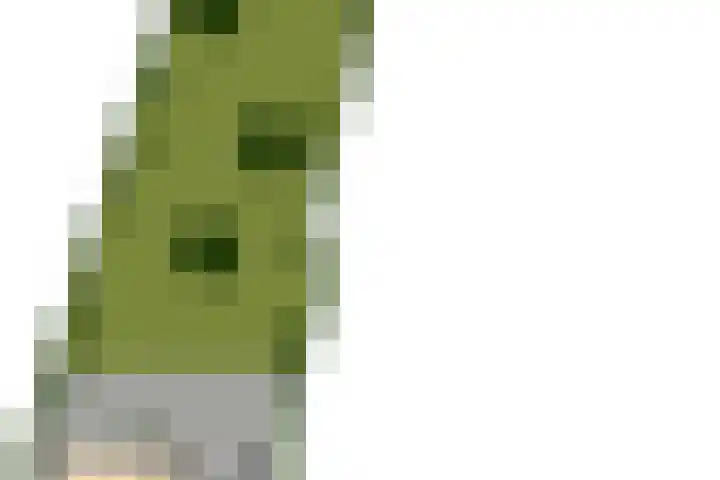 Vredebestlaan 51 Poeldijk thumbnail 74