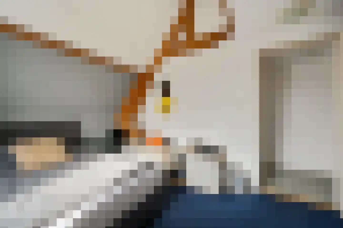 Vredebestlaan 54 Poeldijk thumbnail 18