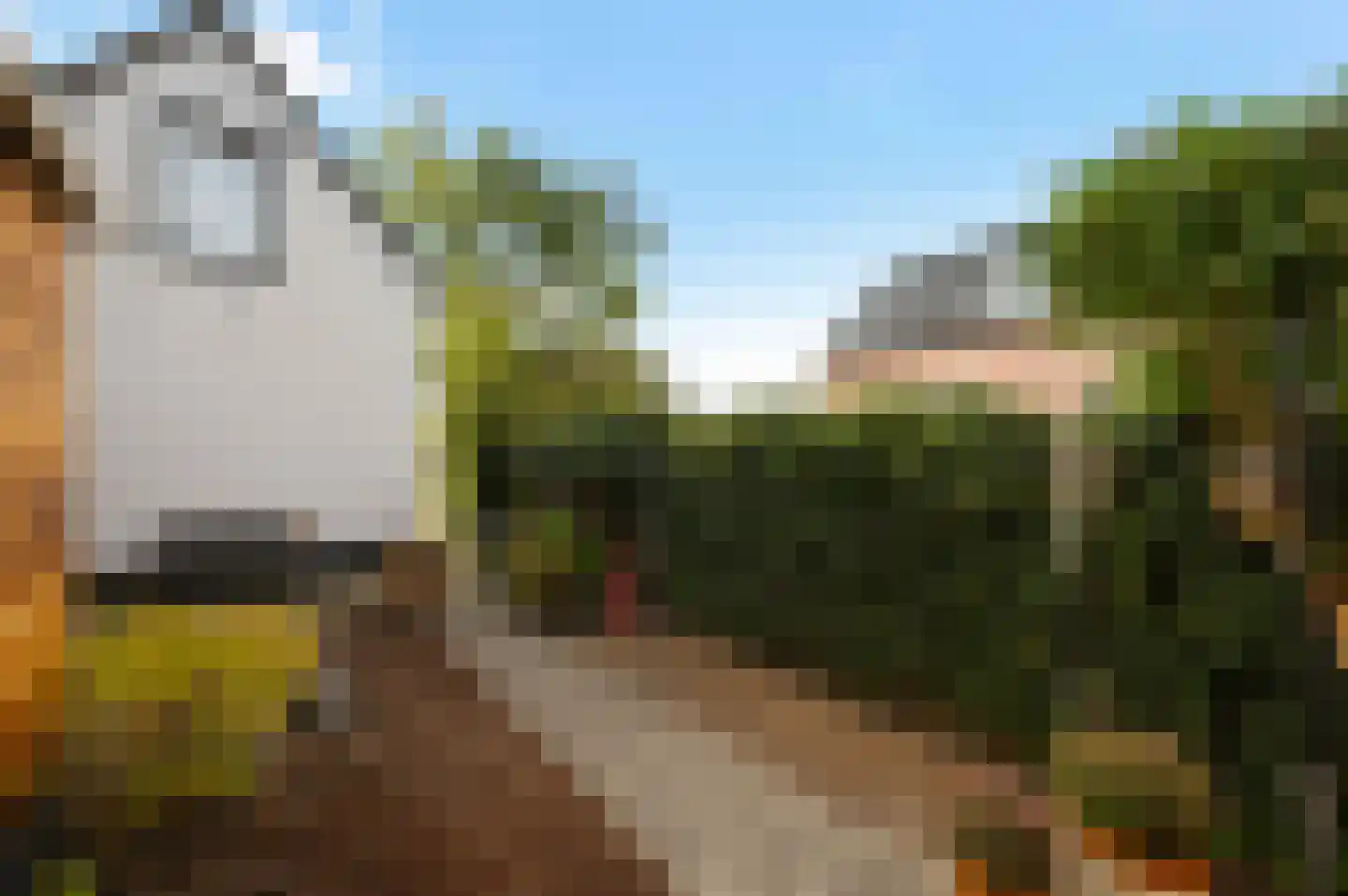 Vredebestlaan 54 Poeldijk thumbnail 30