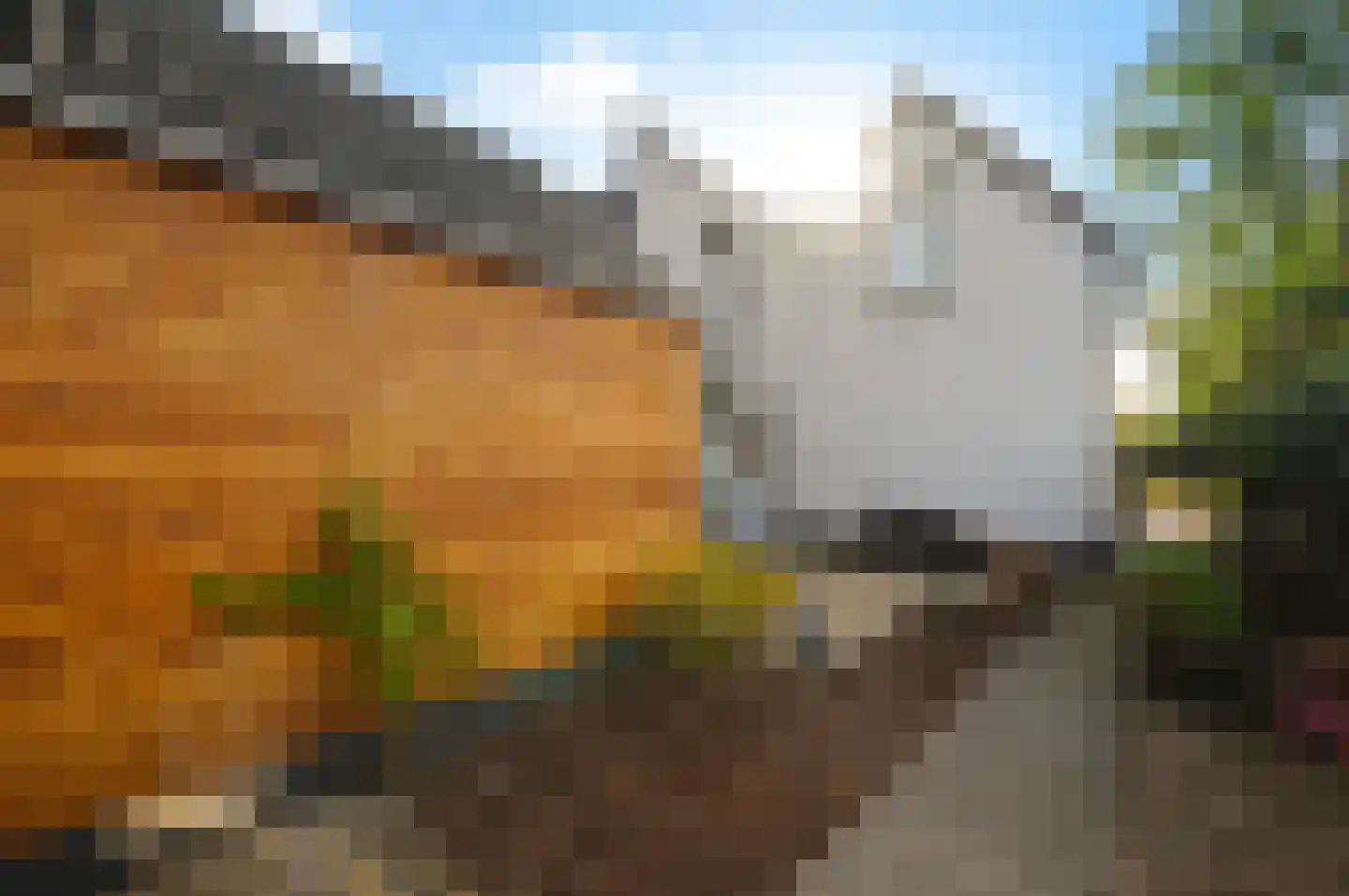 Vredebestlaan 54 Poeldijk thumbnail 31