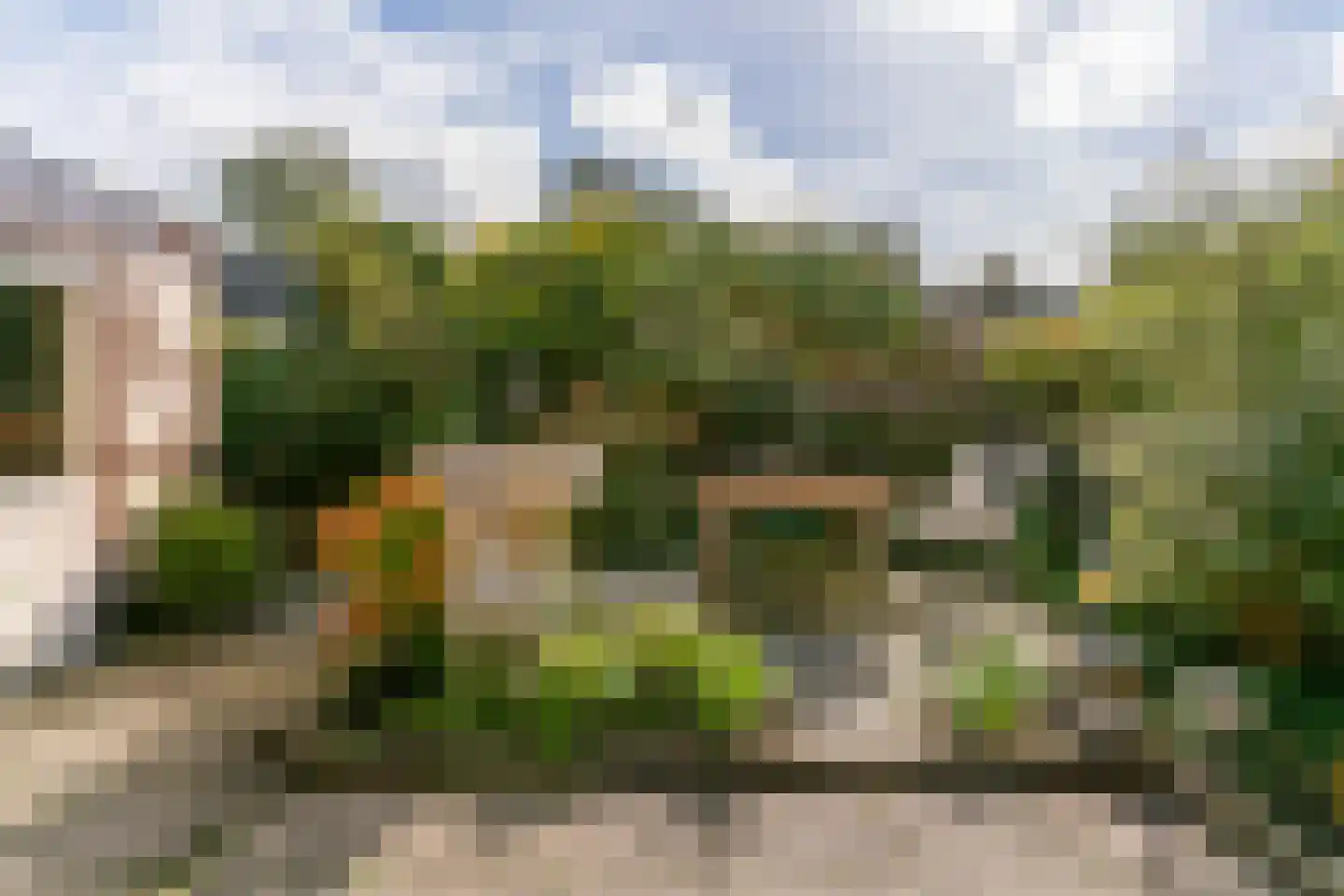 Vredeburglaan 24 Limmen thumbnail 40