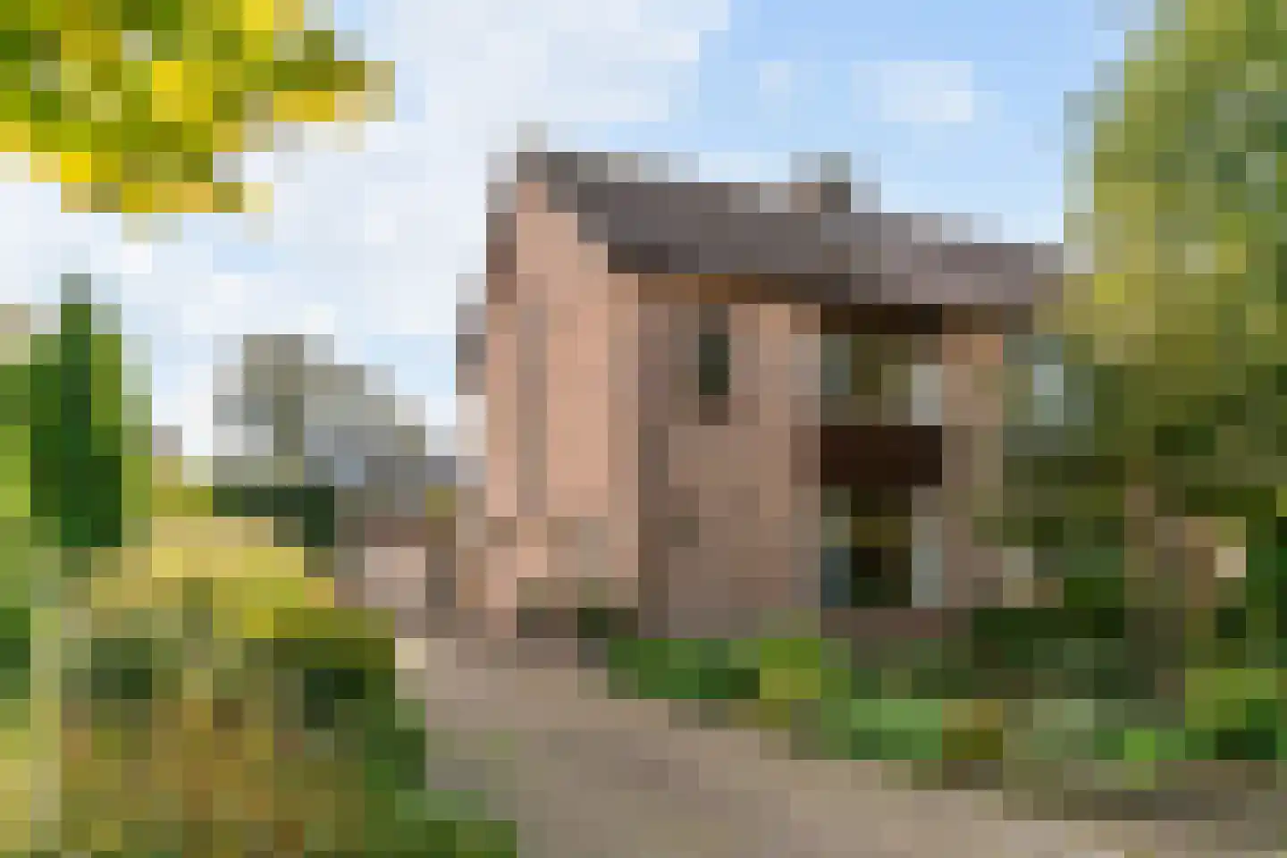 Vredeburglaan 24 Limmen thumbnail 45