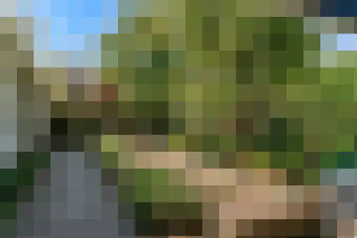 Vredeburglaan 44 Limmen thumbnail 37